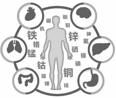 醫用午夜成人福利电影為午夜福利理论片高清在线美国人性的健康提供了保障