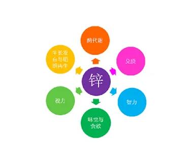 微量元素測定儀廠家提示關愛男士健康，適度補充鋅元素也不能少！