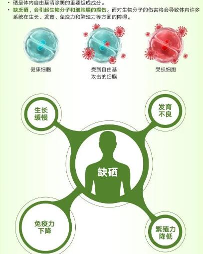 醫用老司机午夜福利廠家提醒關愛男性健康，硒元素也不能少！