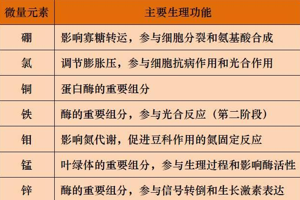 山東聊城全自動血鉛檢測儀一體機：微量元素的主要作用8.20